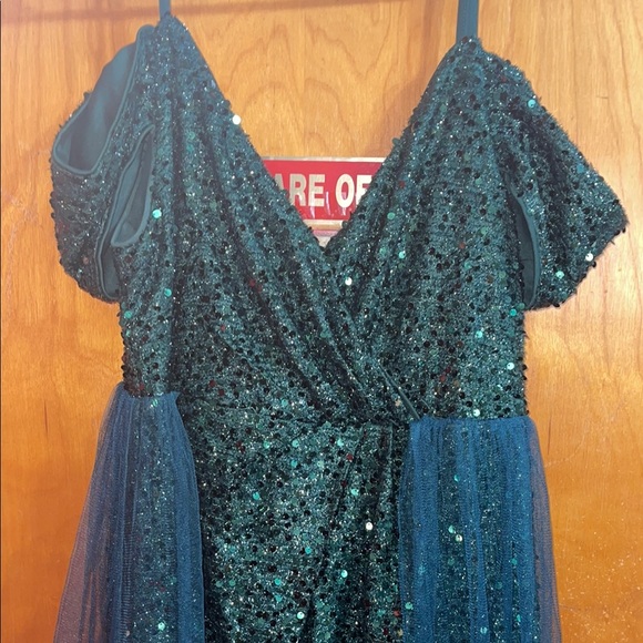 Sparkling Teal adult 2x Dress - Picture 1 of 3